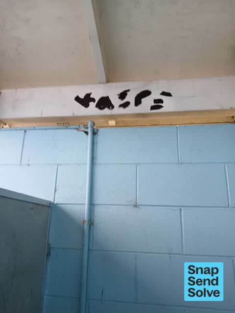 Graffiti on a bus stop or public toilet, a report photo