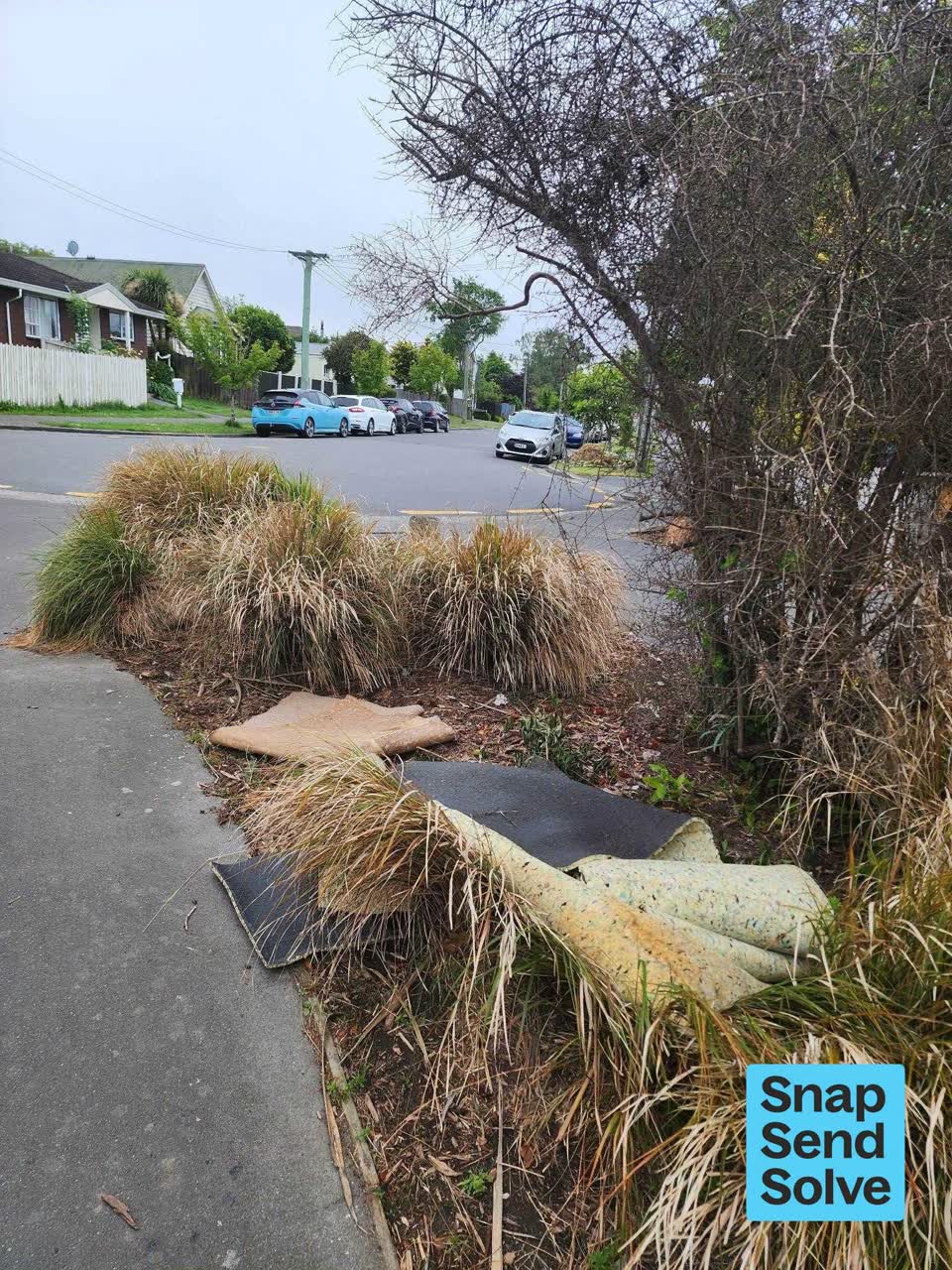 The photograph attached to this dumped rubbish report