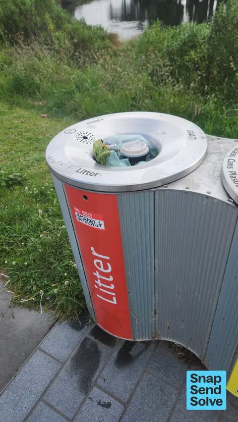 Rubbish and Bins - General — a report photo