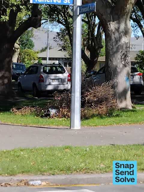 Dumped Rubbish — a report photo