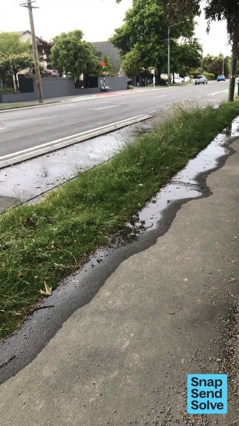 Water Leak, a report photo