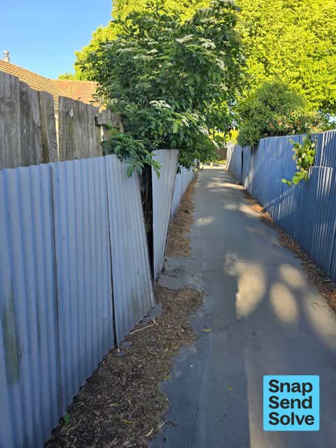 Park - General Request, a report photo