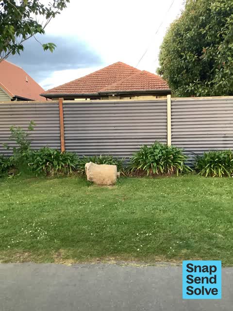 Dumped Rubbish, a report photo