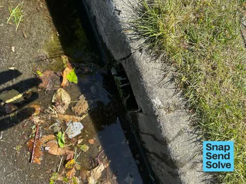 Water Leak, a report photo