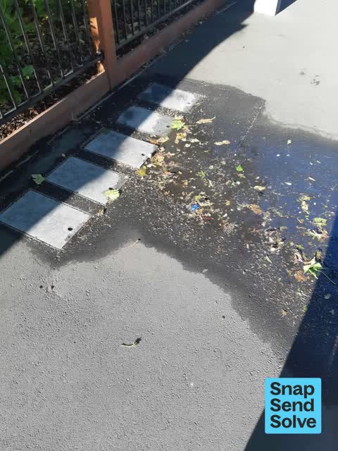 Water Leak, a report photo