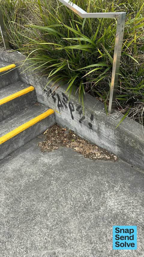 Graffiti on a fence, building or structure, a report photo