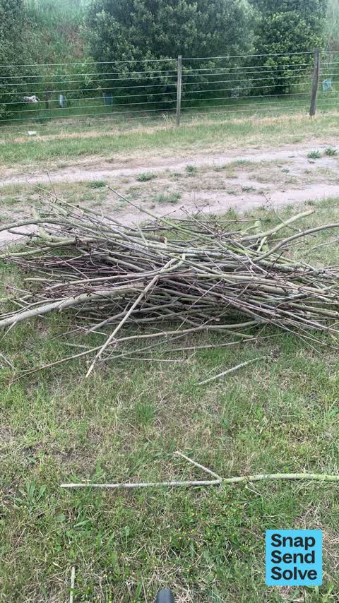 Dumped Rubbish, a report photo