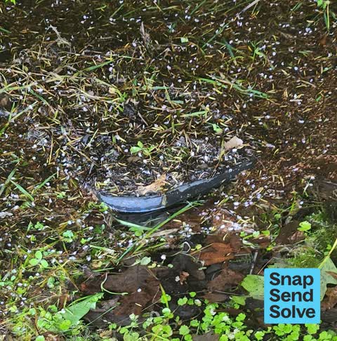 Street Gutters / Storm Water, a report photo