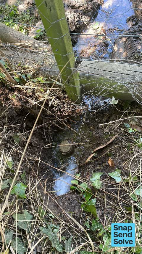 Water Leak, a report photo
