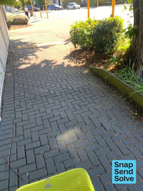 Pavement - Damaged, a report photo
