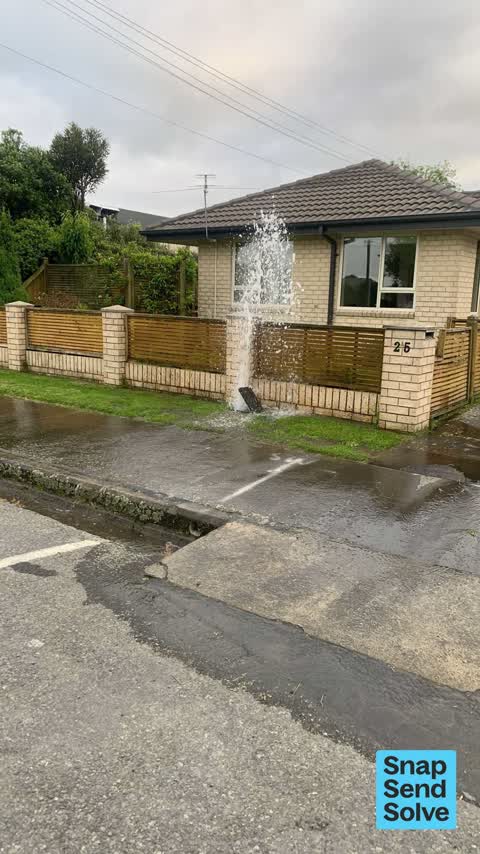 Water Leak, a report photo