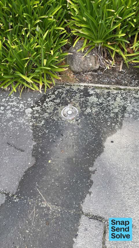 Water Leak, a report photo