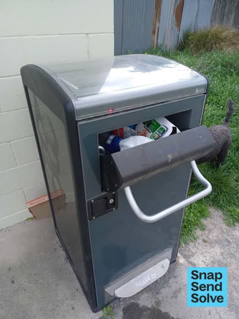 Rubbish and Bins - General — a report photo