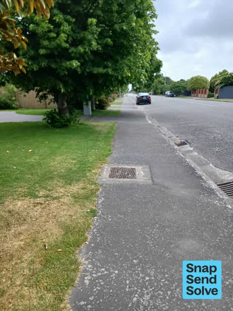 Overgrown Vegetation, a report photo