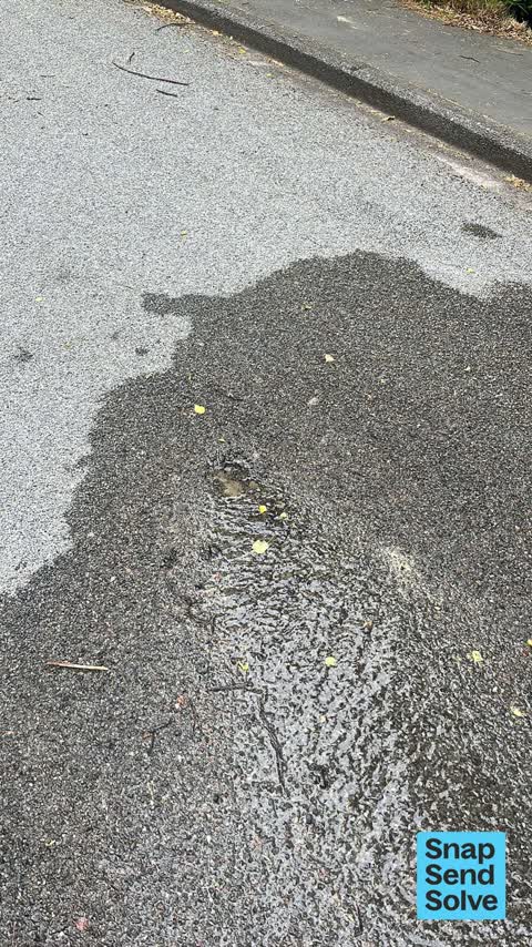 Water Leak, a report photo