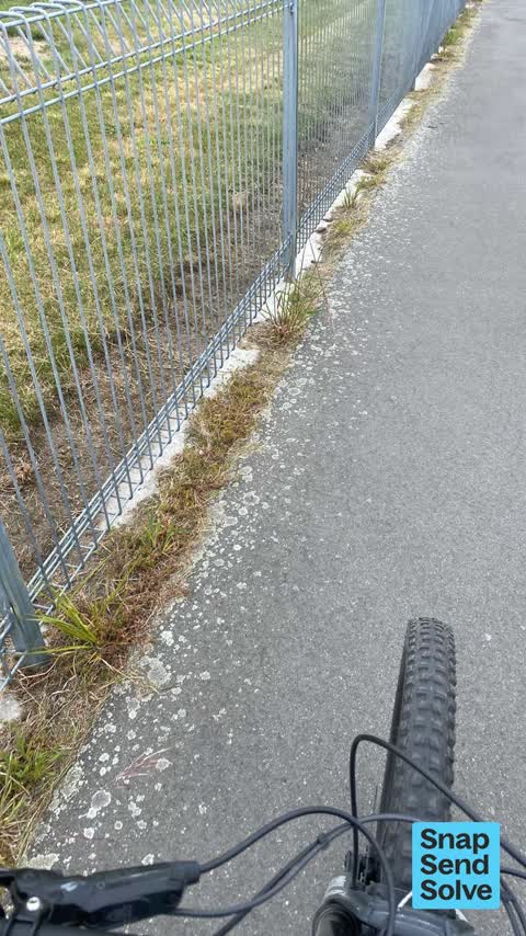 Overgrown Vegetation, a report photo