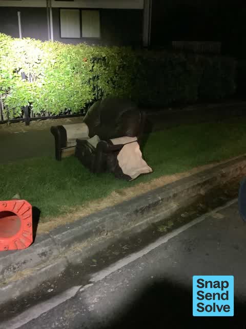 Dumped Rubbish — a report photo