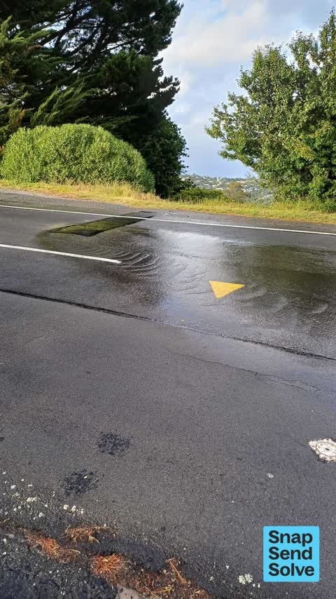 Water Leak, a report photo
