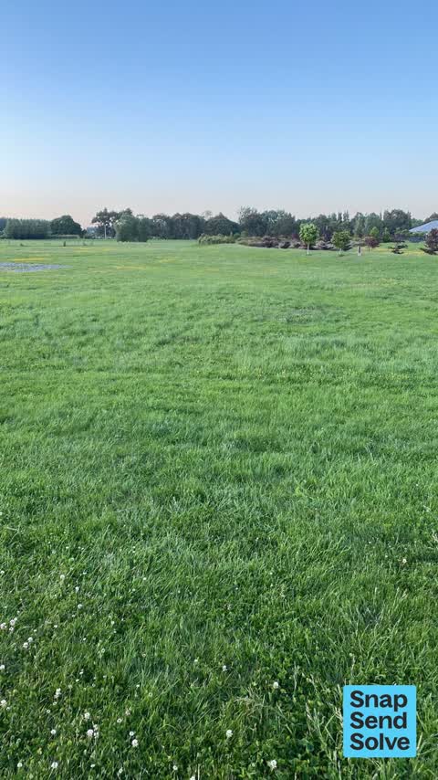 Overgrown Vegetation, a report photo
