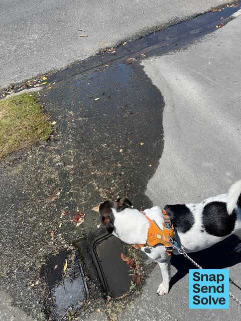 Water Leak, a report photo