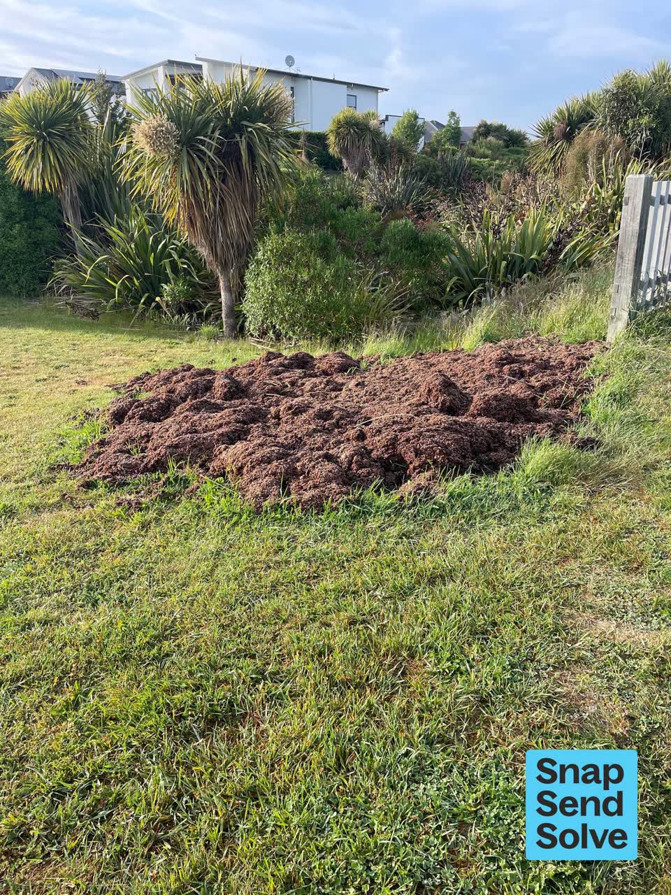 The photograph attached to this overgrown vegetation report