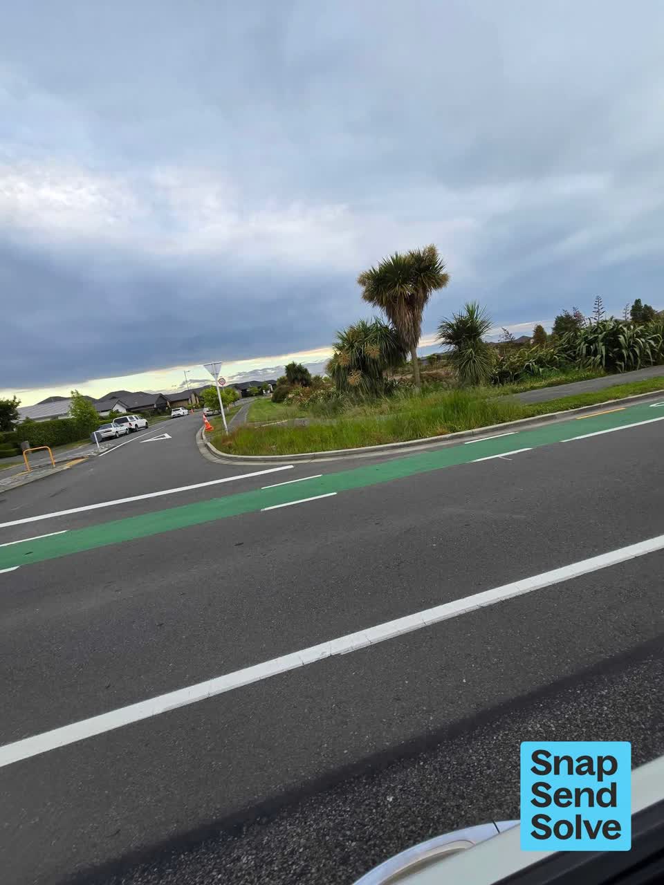 The photograph attached to this overgrown vegetation report
