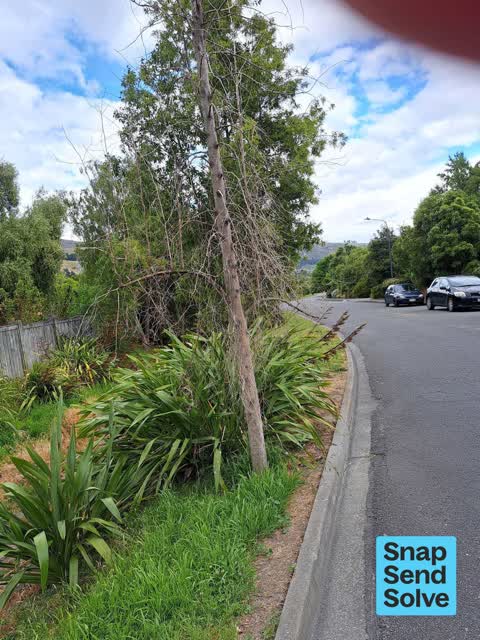 Park - General Request — a report photo