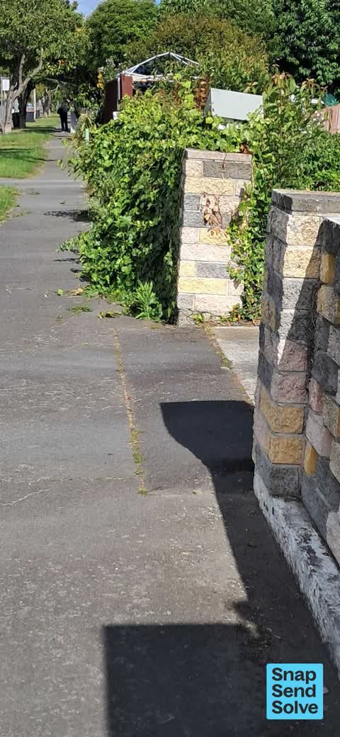 Overgrown Vegetation, a report photo