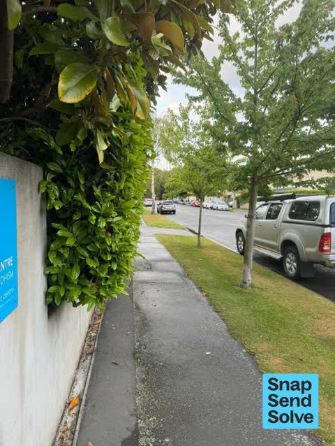 Overgrown Vegetation, a report photo