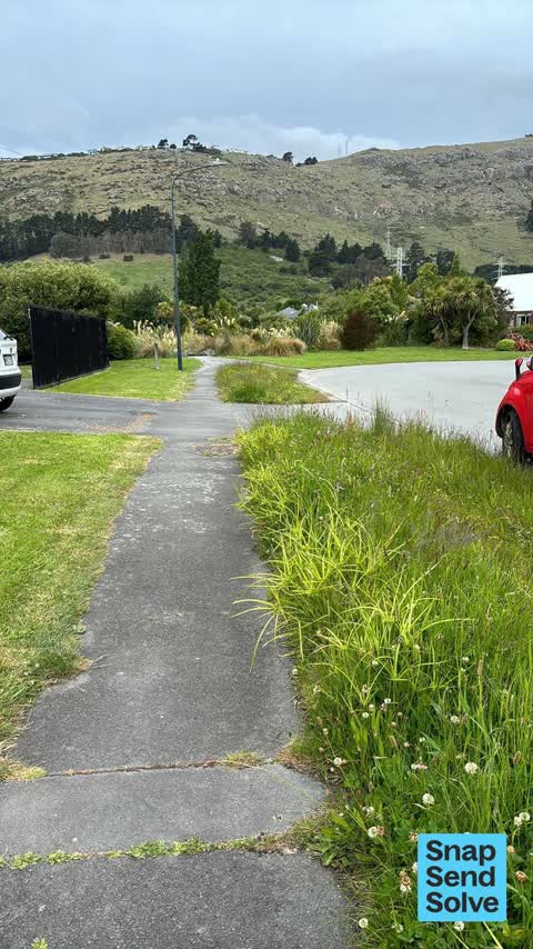 Overgrown Vegetation — a report photo
