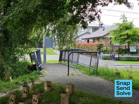 Overgrown Vegetation — a report photo