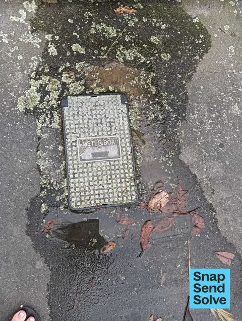 Water Leak, a report photo