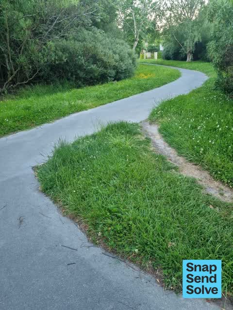 Overgrown Vegetation, a report photo