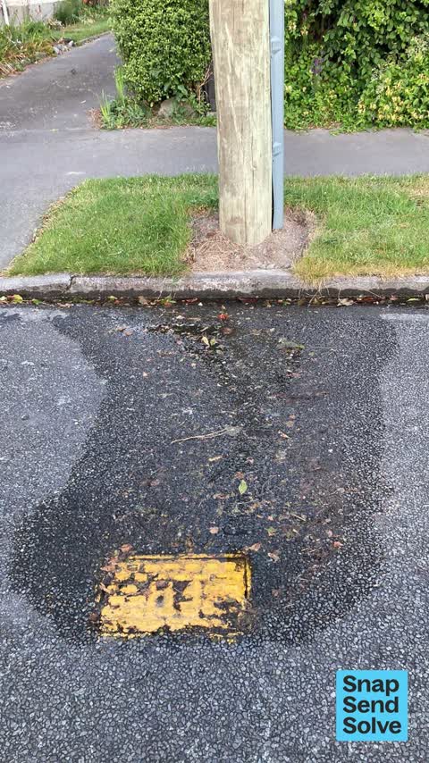 Water Leak, a report photo