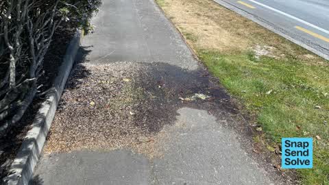 Water Leak — a report photo