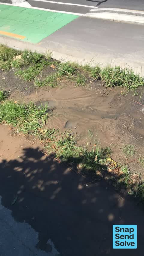 Water Leak, a report photo