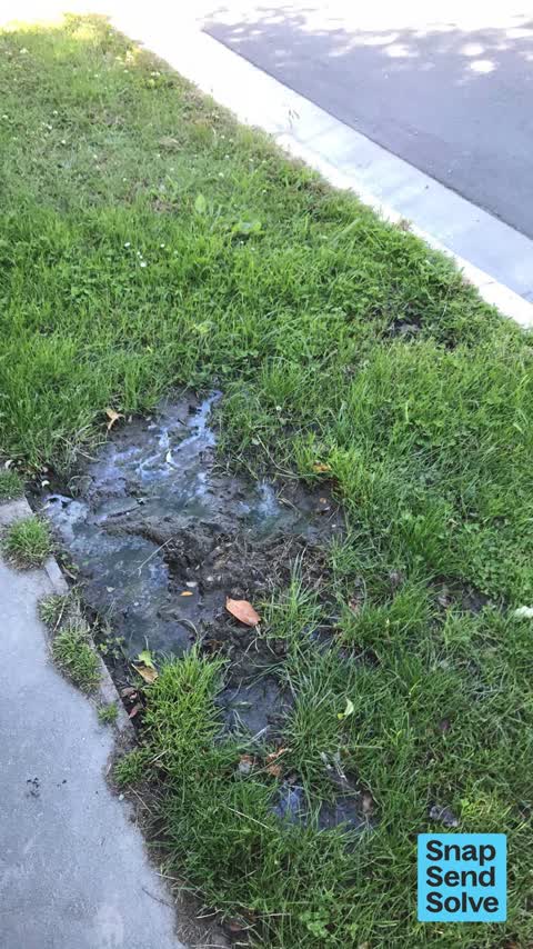 Water Leak, a report photo