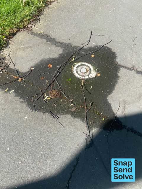 Water Leak — a report photo