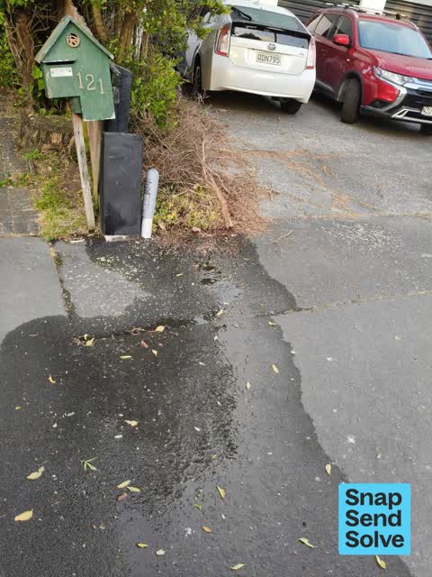 Water Leak, a report photo