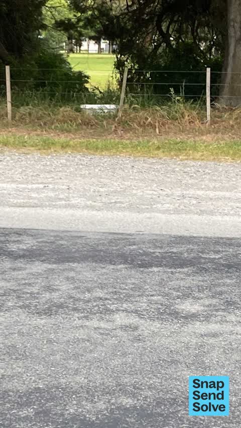 Dumped Rubbish, a report photo