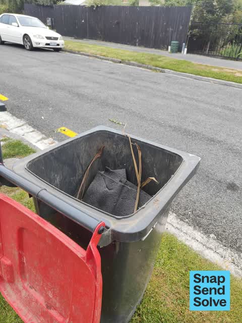 Rubbish and Bins - General, a report photo