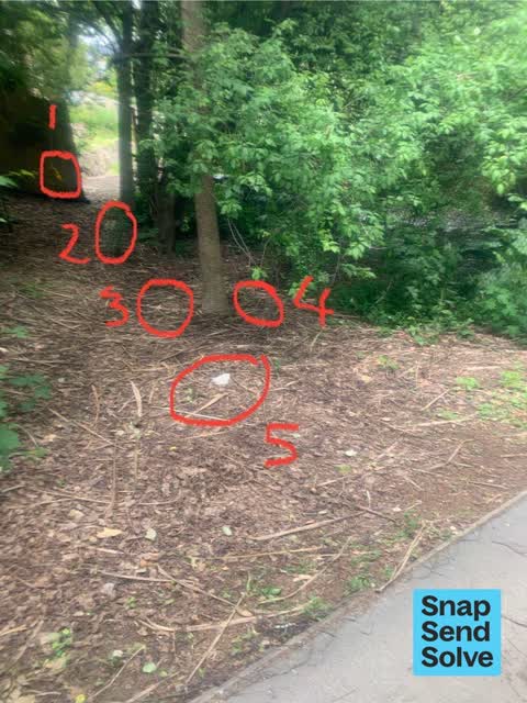 Litter — a report photo