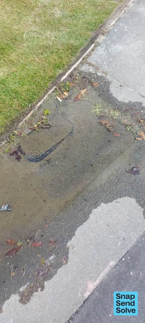 Water Leak — a report photo