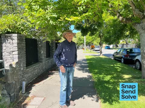 Overgrown Vegetation, a report photo