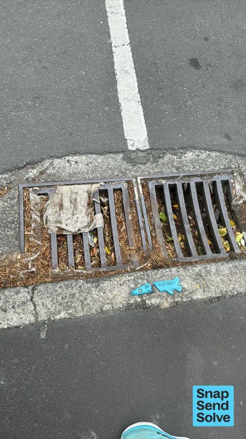 Street Gutters / Storm Water, a report photo