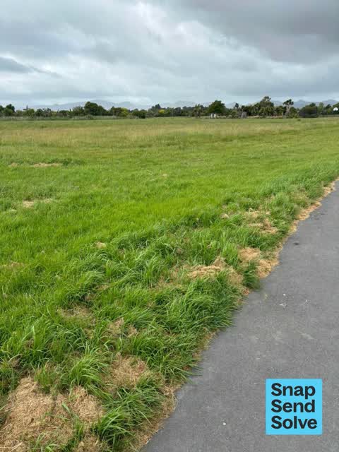 Overgrown Vegetation, a report photo