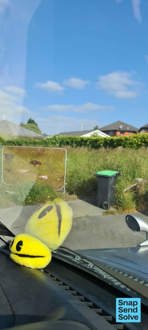 Dumped Rubbish — a report photo