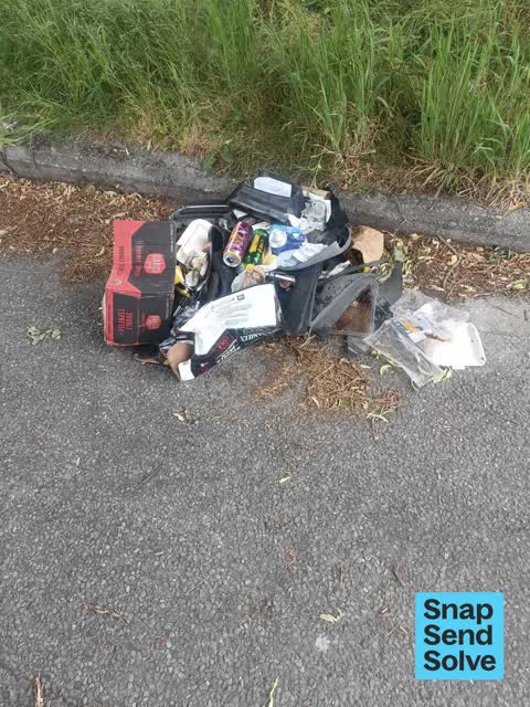 Dumped Rubbish — a report photo
