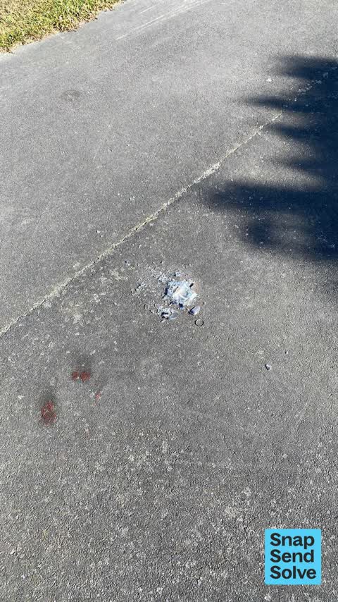 Litter, a report photo