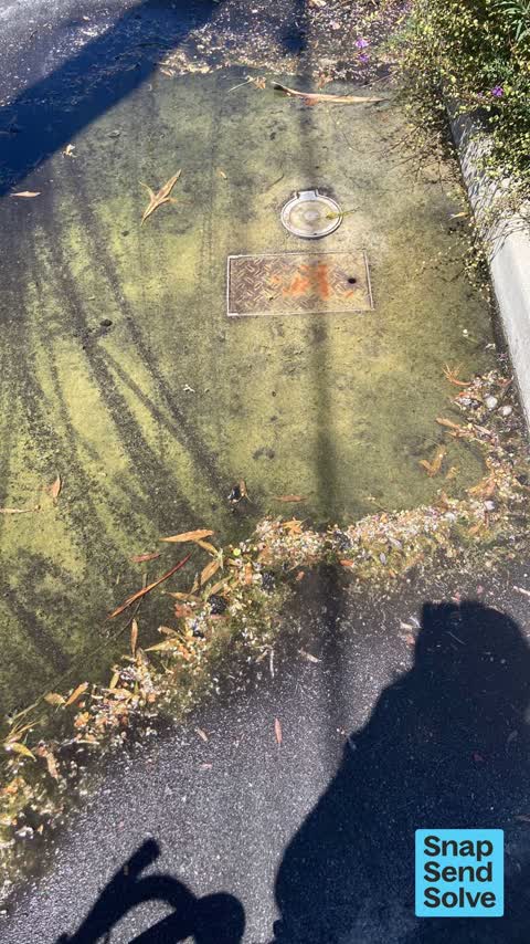 Water Leak, a report photo